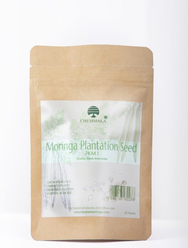Moringa plantation seed PKM1