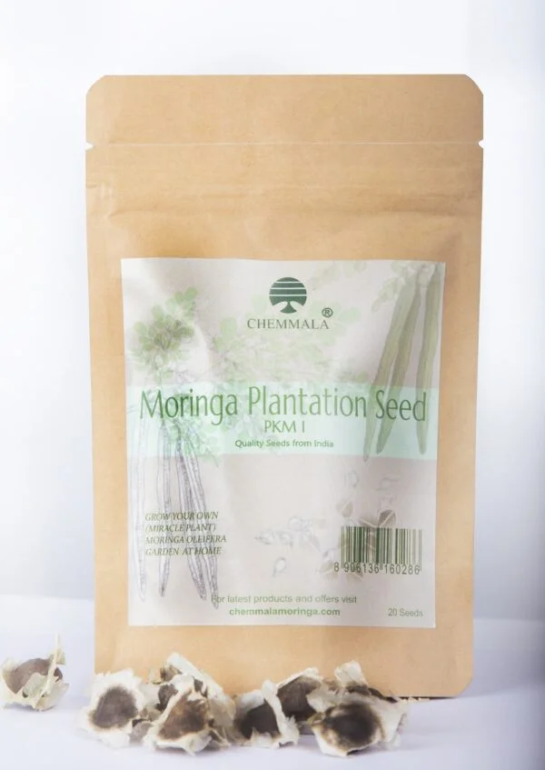 Moringa plantation seed PKM1