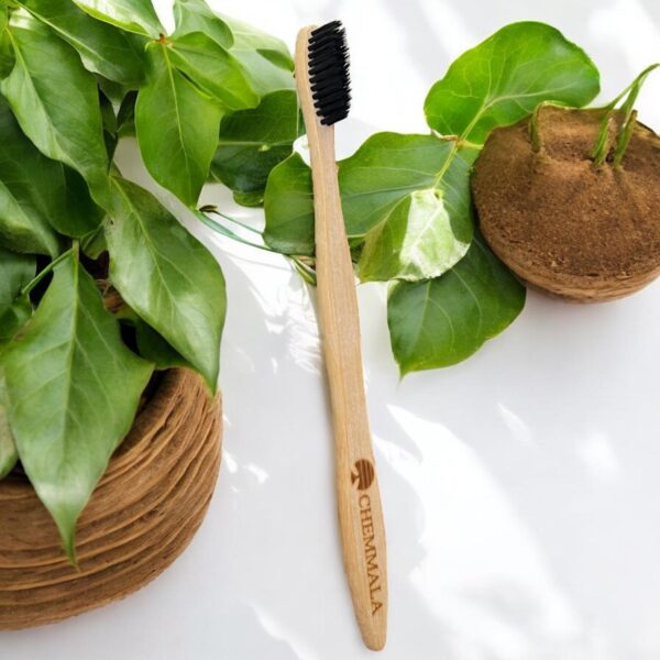 chemmala bamboo brush